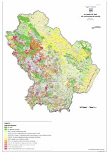 basilicata_nocciolo_generale_conbase-1