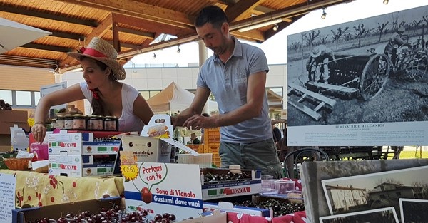 Giovani agricoltori. Il nuovo bando da 34 milioni della Regione Emilia Romagna