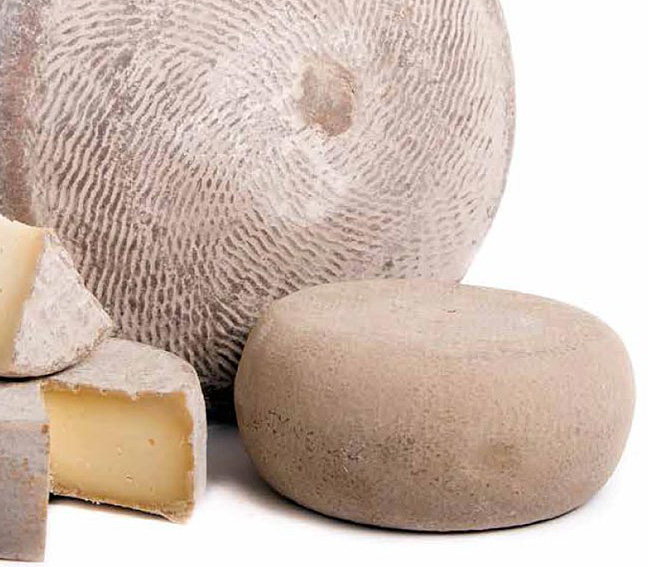Pecorino toscano. Balze Volterrane DOP: i produttori chiedono che il latte venga pagato il giusto prezzo per tutelare la qualità