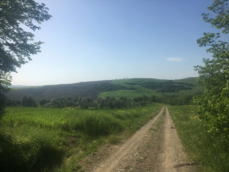 Burocrazia. In Toscana, per ‘rischio alluvioni’ aziende agricole devono essere autorizzare per l’utilizzo dei propri terreni intorno ai canali