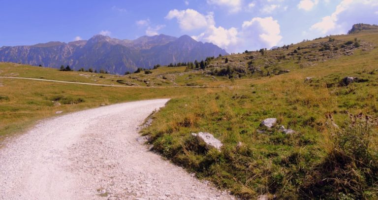 PAC e PSR 2018. Veneto: acconti all’incasso, pagato il 60 per cento