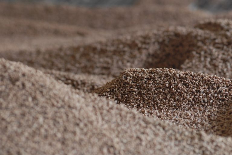 Biomasse vegetali: al via BBioNets, il progetto del CREA che le valorizza, grazie alle tecnologie bio-based