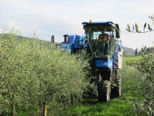 EnoliExpo. Alla Fiera del Levante di Bari (dal 21 al 23 febbraio) focus sulla migliore gestione di vigneti e oliveti