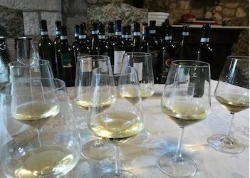 Sannio Falanghina, Città Europea del Vino 2019. I sindaci presentano il progetto alla Camera