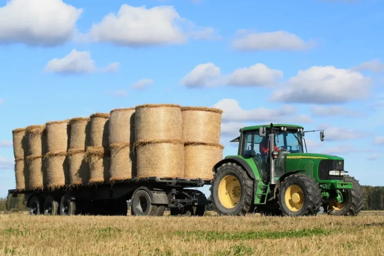 Click day braccianti agricoli stagionali: mercoledì 12 febbraio ore 9. Previsti 110 mila ingressi stagionali (su totale di 180 mila)