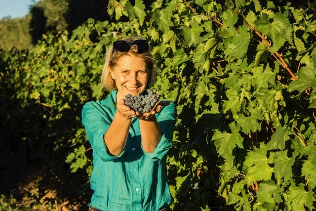 Sostenibilità nella vitivinicoltura. Alla Lungarotti certificata al progetto Viva, un nuovo marchio green