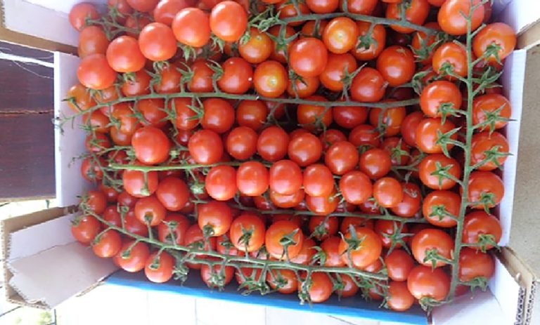 Altro che naturale perché locale. L’agricoltura italiana fatta da un mix di importazioni