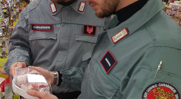 Mercato illegale in Toscana. Carne non tracciata, 50 quintali di cinghiale e capriolo sequestrati