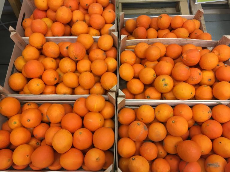 Ristori bis. Unaproa: finalmente una boccata di ossigeno per produttori Ortofrutta ad alto contenuto di servizio