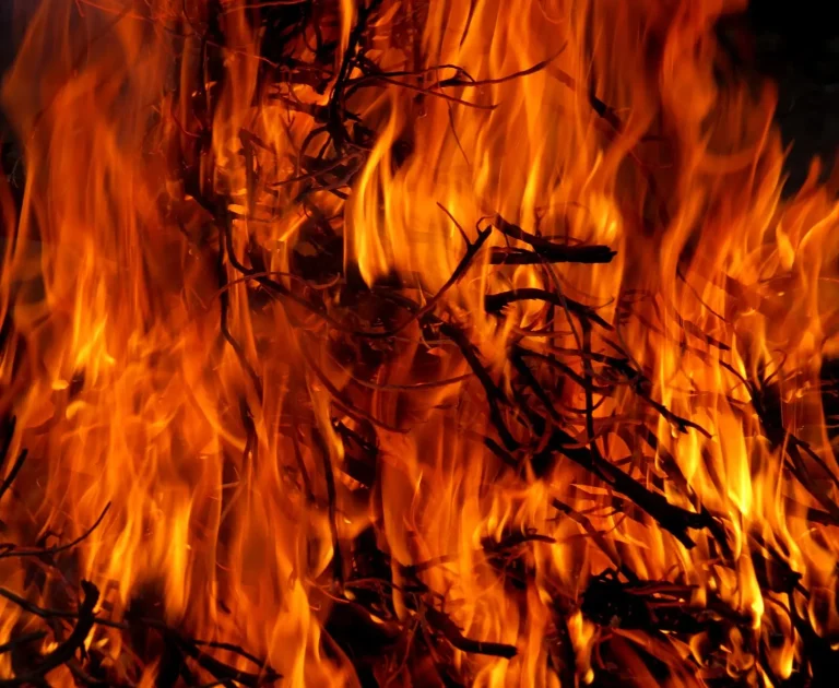 Incendi boschivi: le misure finanziate dall’UE producono risultati incerti