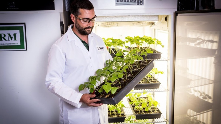 La strategia di BASF in agricoltura. Una crescita guidata dall’innovazione, in determinati mercati
