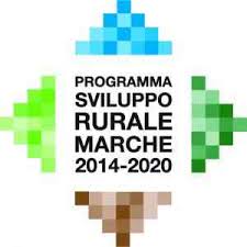 PSR Regione Marche 2014-2020: Bando Sottomisura 9.1 “Sostegno alla costituzione di associazioni e organizzazioni di produttori nei settori agricolo e forestale”