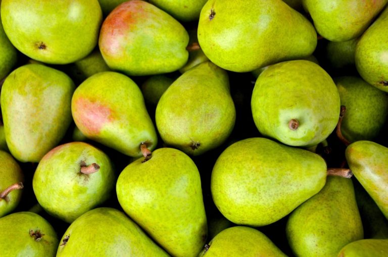 La Borsa della spesa (15 gennaio) per un acquisto consapevole di frutta e ortaggi