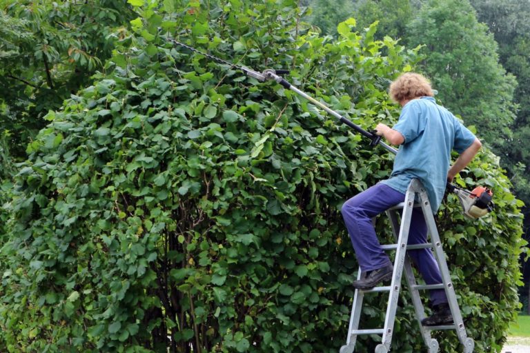 Macchine per il verde. Mercato in ripresa nel 2018: +3.2% secondo i dati Comagarden-Morgan