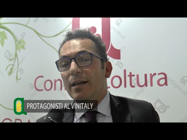Sangiovese e olio extravergine d’oliva, l’eccellenza made in Siena al Vinitaly