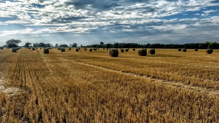 Corteva Agriscience valuta l’uso di capsule plastic-free grazie ad un accordo con Eden Research plc