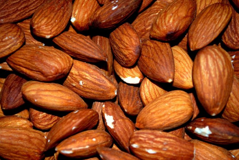 Almond Board of California debutta a Tuttofood. Mandorle cresciute del 9,6% in volume e del 5,9% in valore