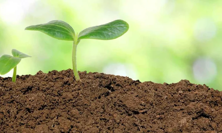 Biodiversità