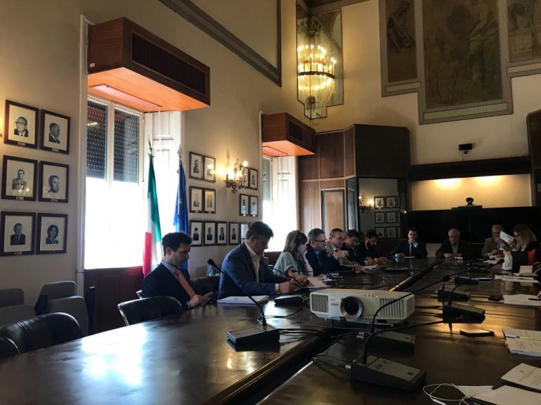 Xyella, arrivano i primi 30 milioni per i reimpianti. Per gli olivi monumentali la possibilità di innesti
