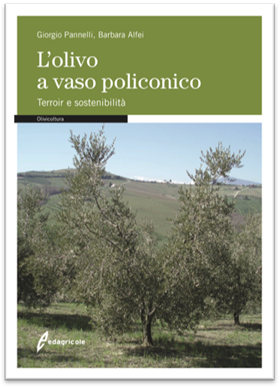 L’olivo a vaso policonico, terroir e sostenibilità