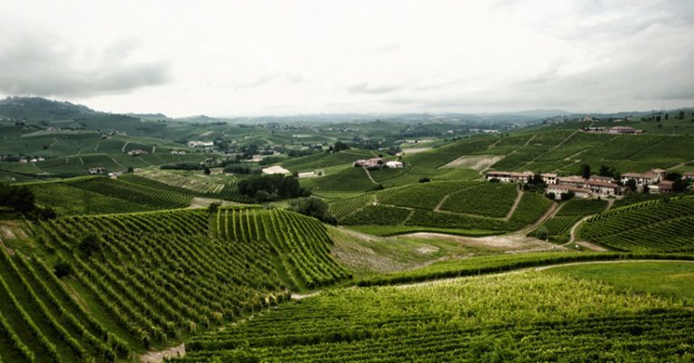 Gelo, danni contenuti nella zona di produzione dei vini Barolo e Barbaresco