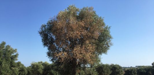 puglia