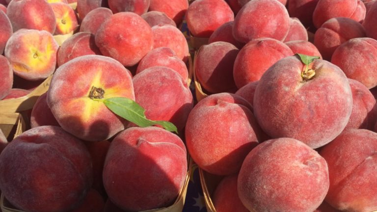 Frutta estiva, crollo del 50% in Emilia Romagna. E per le pere altra annata da dimenticare