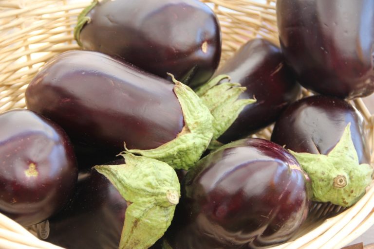 Svelato il genoma della melanzana. Da team di ricerca italiano il contributo della genetica per un’agricoltura sostenibile