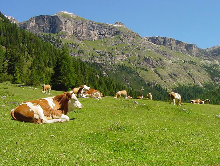 In Lombardia 18 milioni di euro per 4700 aziende montane
