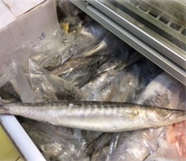 Sicurezza alimentare. Sequestrati 184 kg di pesce congelato e due denunciati per frode