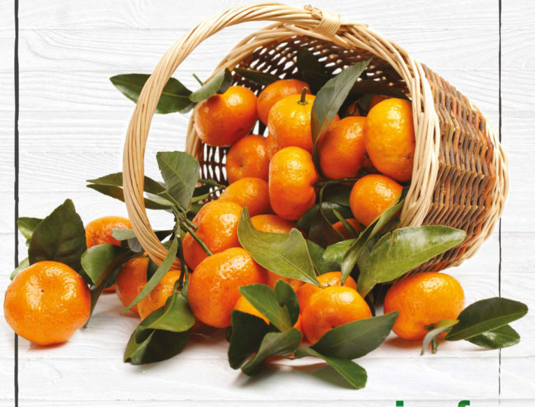 Il mese delle clementine. Bellanova: consumare prodotti di stagione è nei principi fondanti della dieta mediterranea