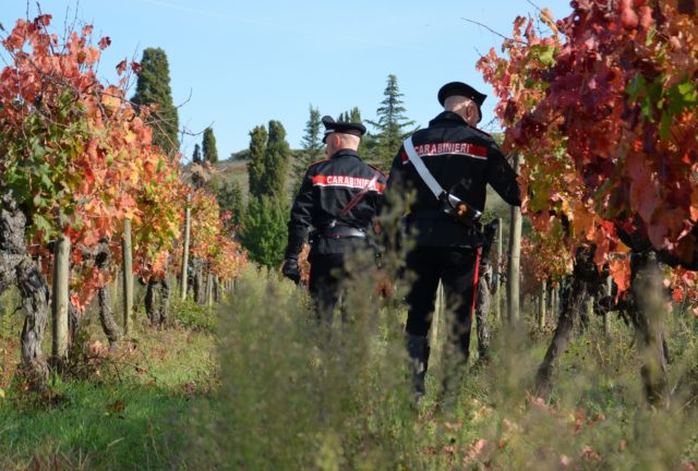 Truffa in etichetta. ‘Prodotto in sole 300 bottiglie’, ma erano oltre 1200. Sanzionato produttore di vino nel Chianti