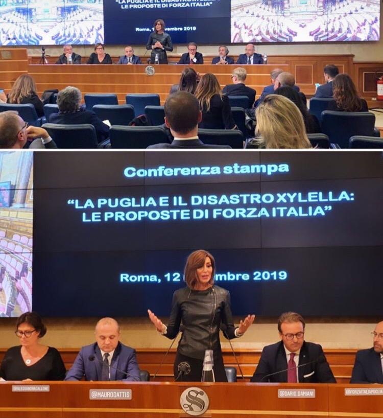 Xylella: FI, è questione nazionale, si stanzi 1mld in legge di bilancio