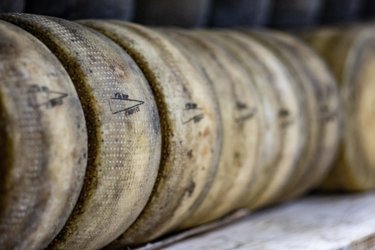 Aiuti agli indigenti, anche il Pecorino Sardo DOP escluso da Bandi Agea. Il Consorzio non ci sta: sarebbe importante boccata di ossigeno