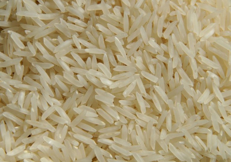 Riso, la campagna finisce con prezzi elevati. Pesano incognita siccità e costi produzione