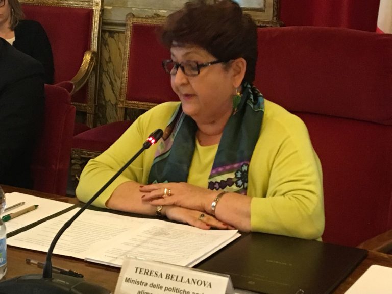 Peste suina. Bellanova: vicenda preoccupante che conferma eccellenza nostro sistema controllo