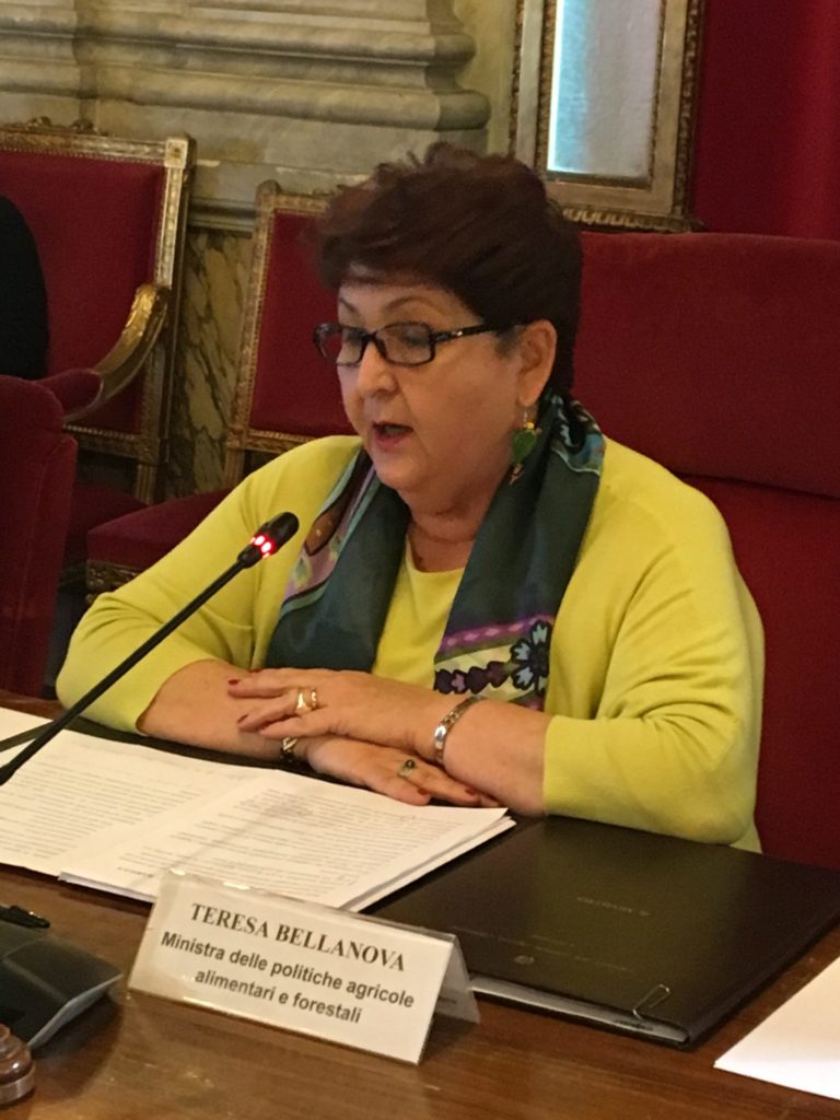 Risorse xylella a Gal. Mipaaf: dichiarazioni senza fondamento. Lezzi controreplica: è come temevo, fondi sottratti ad agricoltori a favore di GAL presieduto da suo segretario