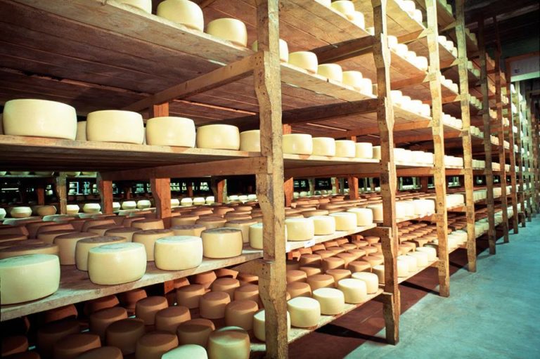 Pecorino Romano Dop, Centro Studi Agricoli: Produzione record con 391 mila quintali, bene il mercato