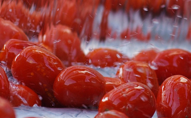 Italian Food (Petti) passa a Barilla. Pasquini, Cia Livorno: Opportunità per il pomodoro da industria toscano, ma sistema agricolo deve fare squadra