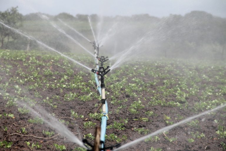 Acqua. Cia, subito infrastrutture idriche sostenibili. Fondi Ue siano strategici