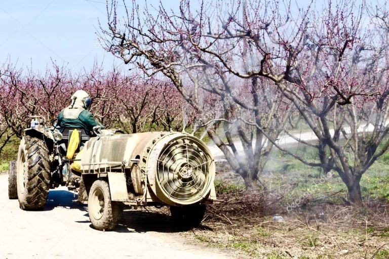 Servizio fitosanitario nazionale, la riforma è legge. Più controlli alle importazioni e produzioni interne