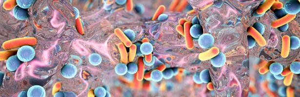 Antibiotico-resistenza nell’UE. Le infezioni da batteri trasmessi da alimenti stanno diventano più difficili da curare