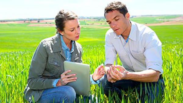 BASF, la pipeline di innovazioni in agricoltura cresce del 25% grazie alla nuova strategia