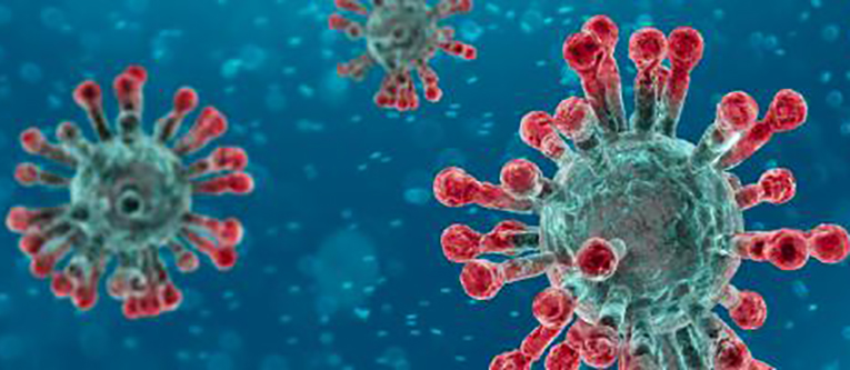 Coronavirus. Efsa: non ci sono prove che il cibo sia fonte o via di trasmissione