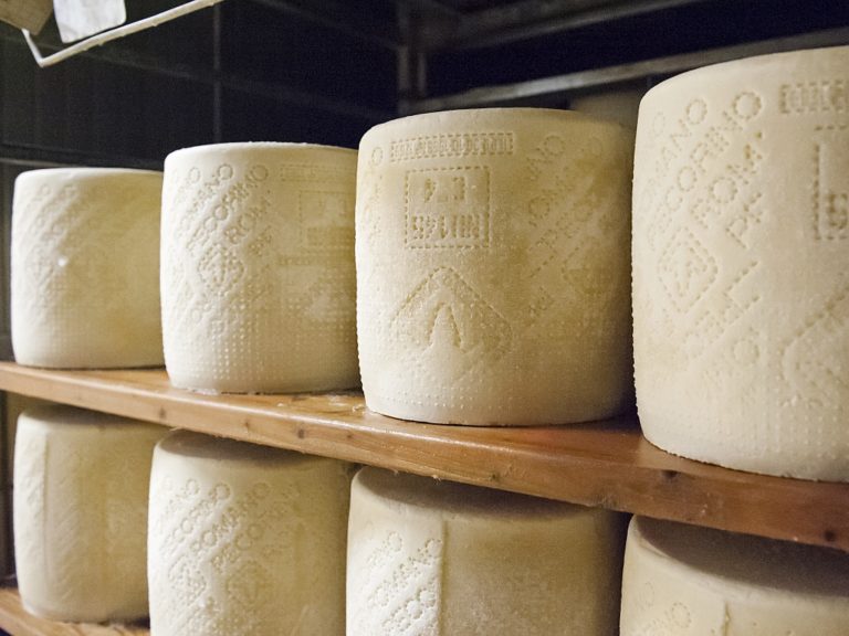 Bandi indigenti. Palitta (Pecorino Romano Dop) smentisce la Bellanova: Sardegna e settore ovino lontani da preoccupazioni ministro. Ecco come stanno le cose