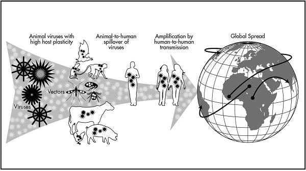 Verso una terza agricoltura. Un nuovo ambientalismo biotecnologico per prevenire lo spillover