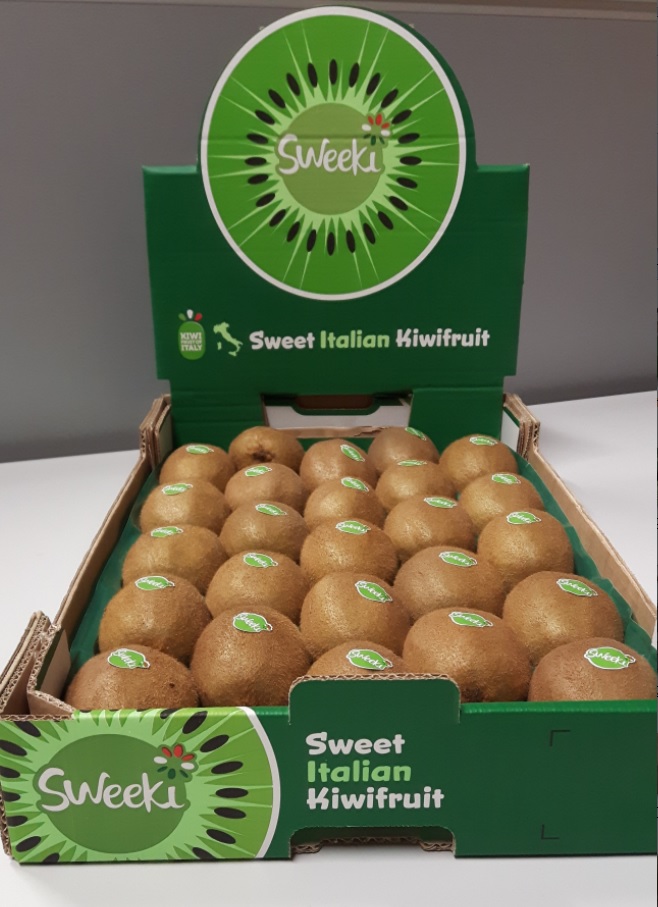Il kiwi italiano di Origine Group vola sui mercati esteri. Spediti 33mila quintali (+49%)