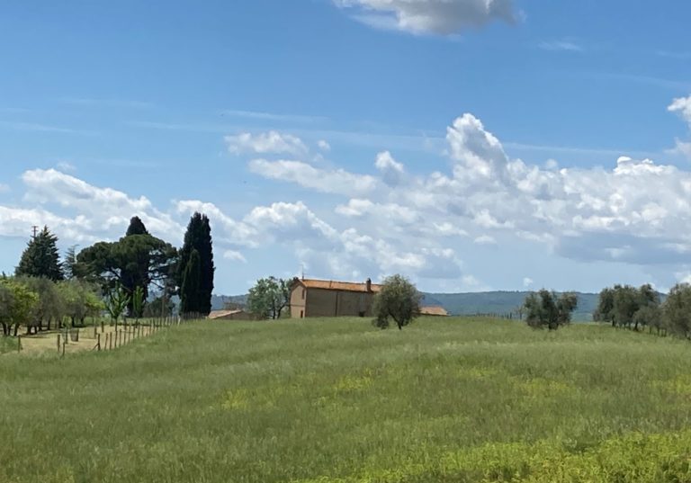 Fase 2. Agriturist: Estate senza folla e senza stress, ripartiamo dalla campagna e dai borghi