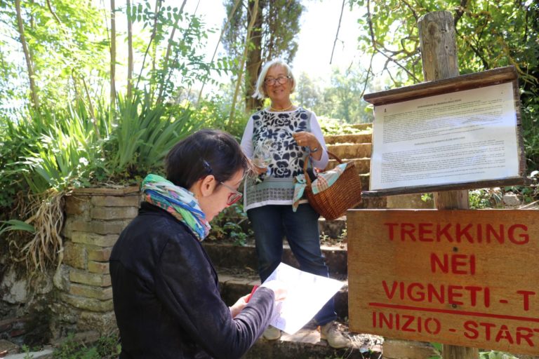 Turismo del vino riparte con il terapia del paesaggio. Trekking nelle vigne e degustazioni con panorama