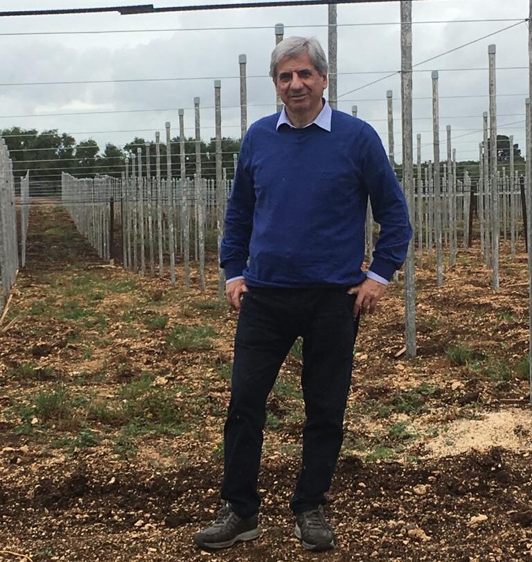 Ortofrutta pugliese campione di export. APEO: Serve rafforzare la competitività delle nostre imprese